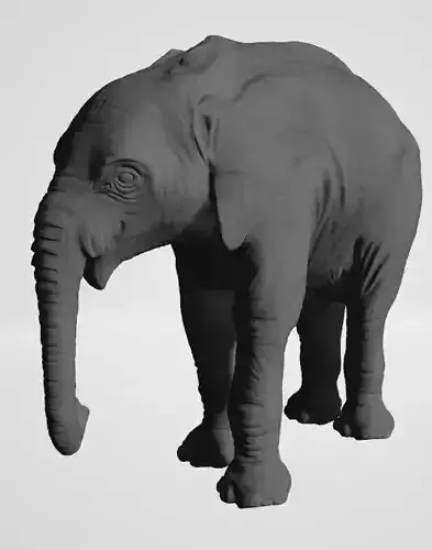 elephant-natural-history-museum-1 elephant Free 3D print model