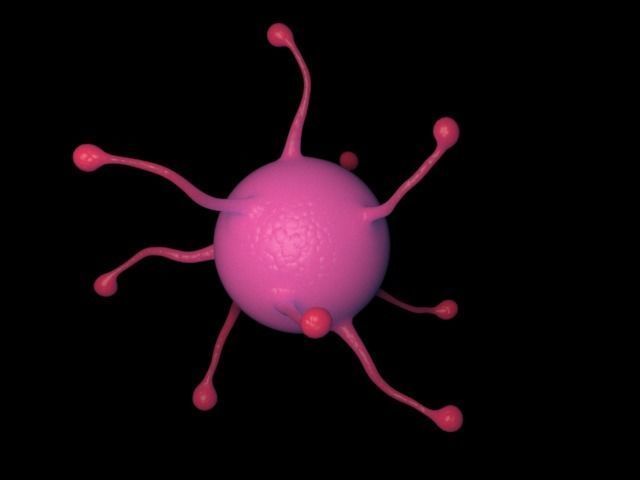 virus cell Free 3D model_2