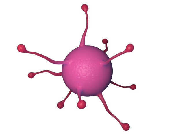 virus cell Free 3D model_3
