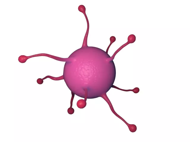 virus cell Free 3D model_0