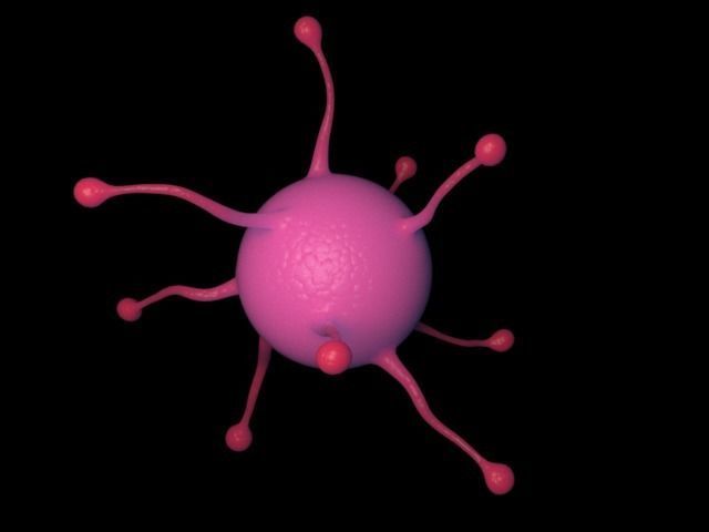 virus cell Free 3D model_1