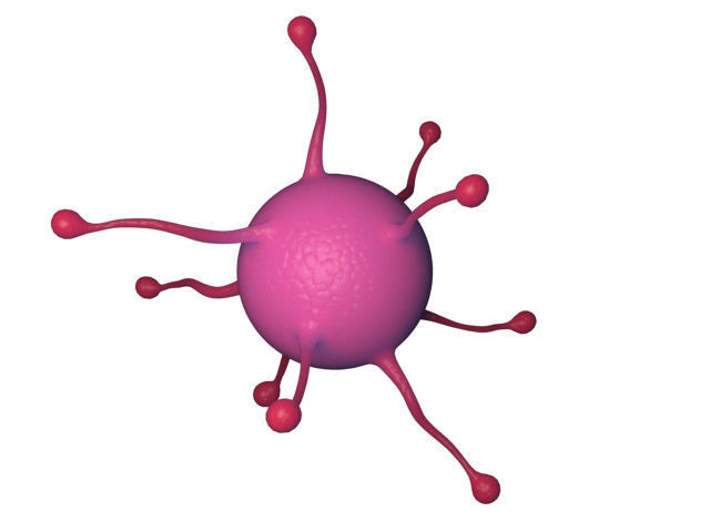 virus cell Free 3D model_4