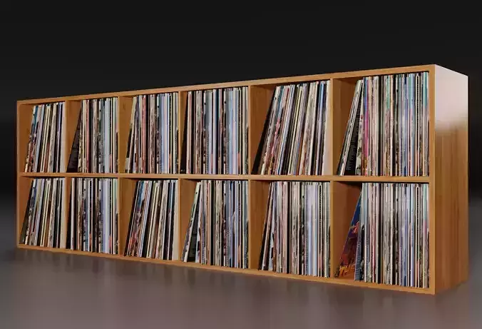 Vinyl Storage PBR