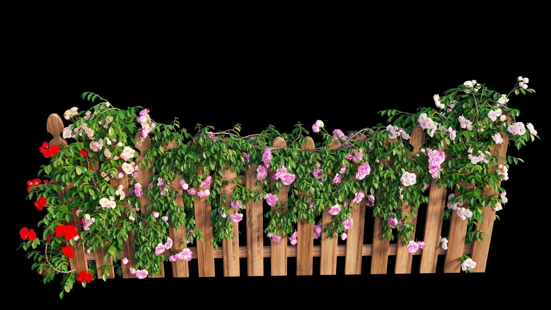 Rose plant set 48  3D model_14