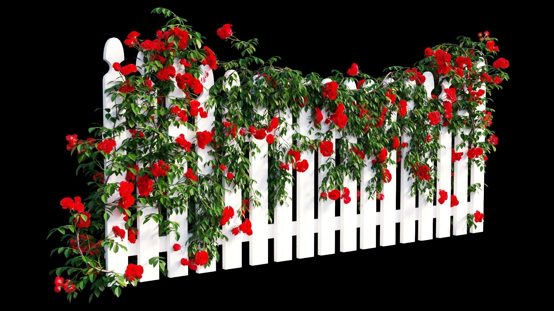 Rose plant set 48  3D model_24