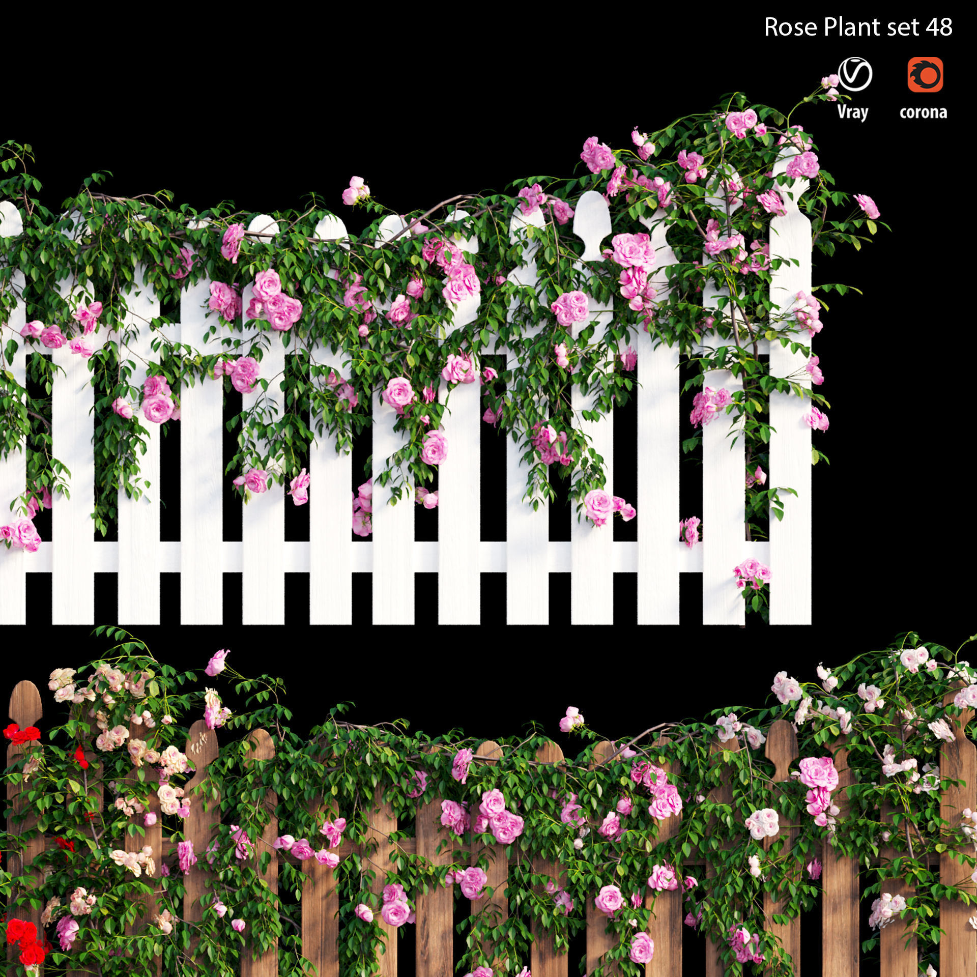 Rose plant set 48  3D model_1