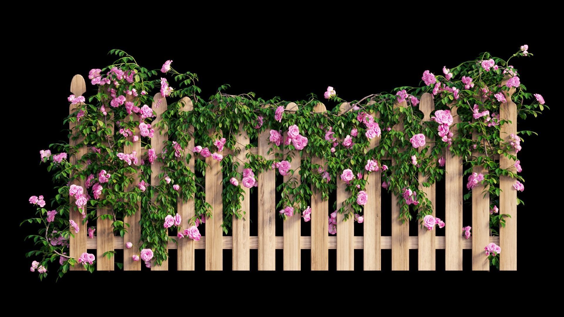 Rose plant set 48  3D model_19