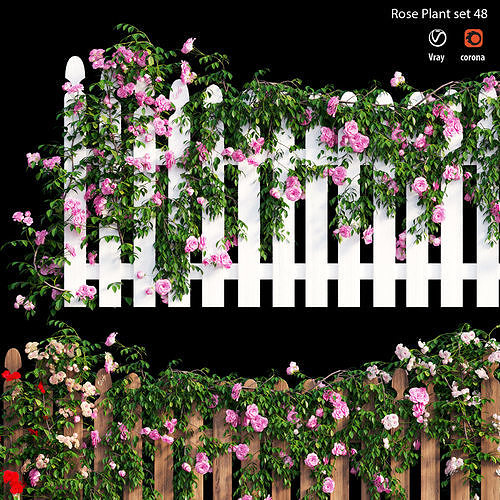 Rose plant set 48  3D model