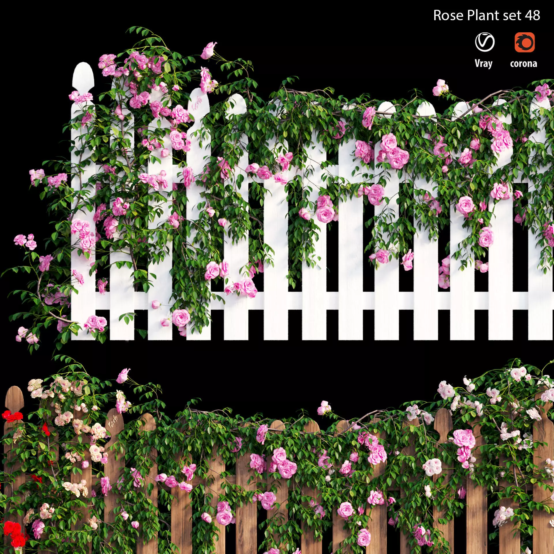 Rose plant set 48  3D model_0