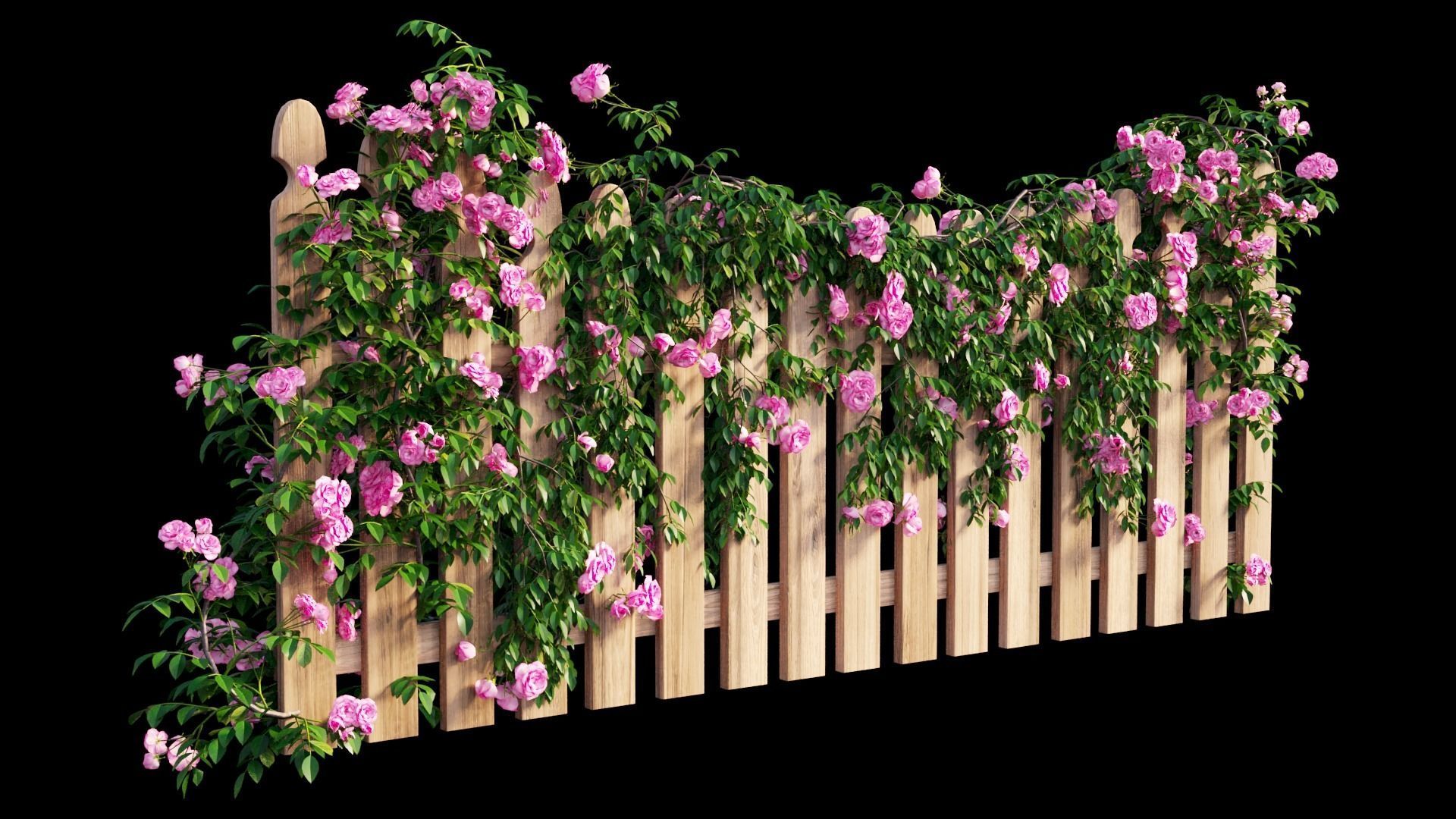 Rose plant set 48  3D model_20