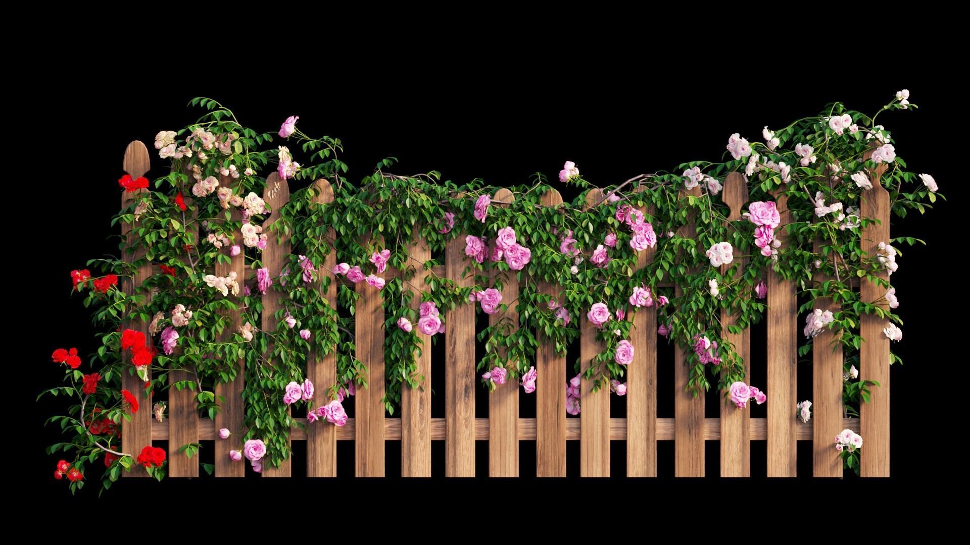 Rose plant set 48  3D model_15