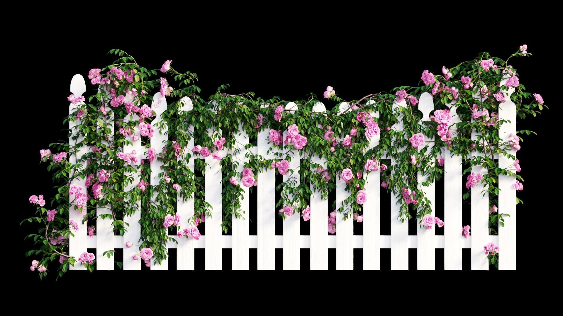 Rose plant set 48  3D model_18