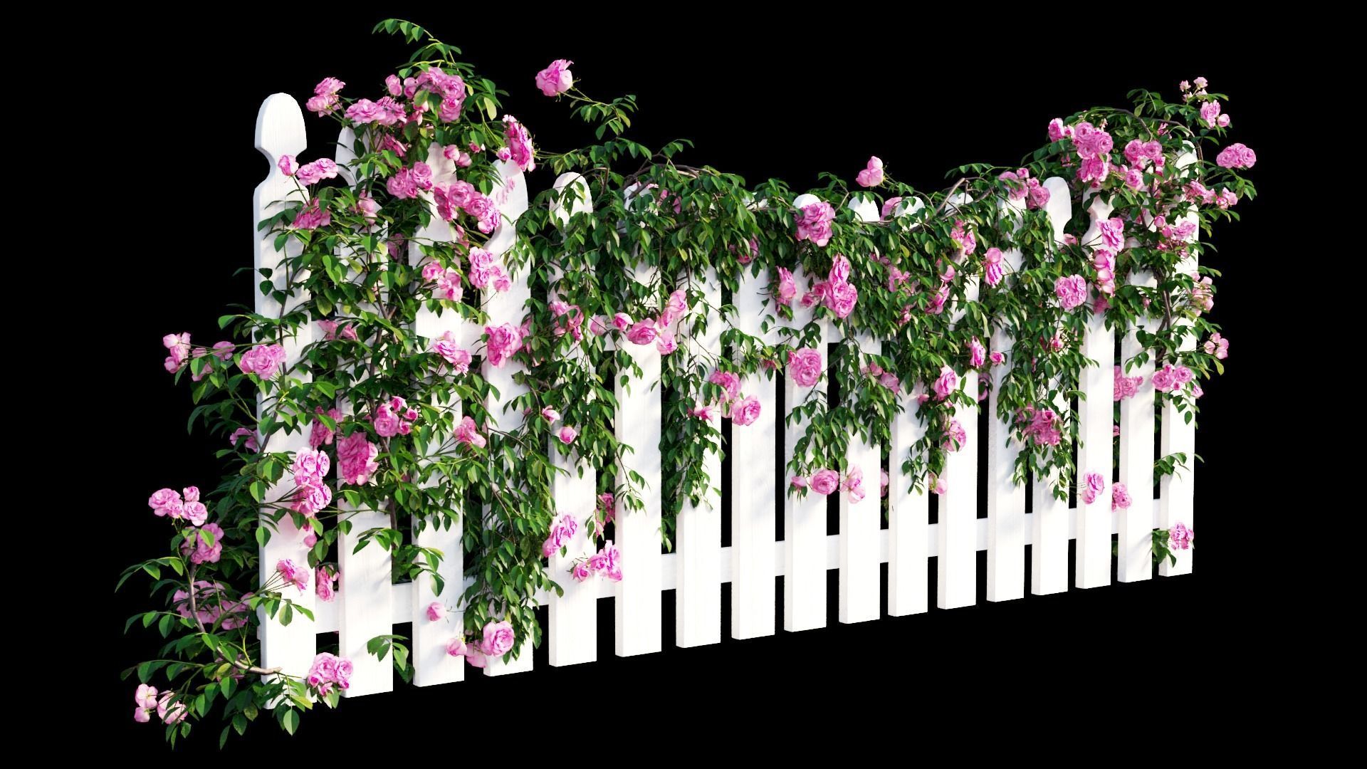 Rose plant set 48  3D model_21