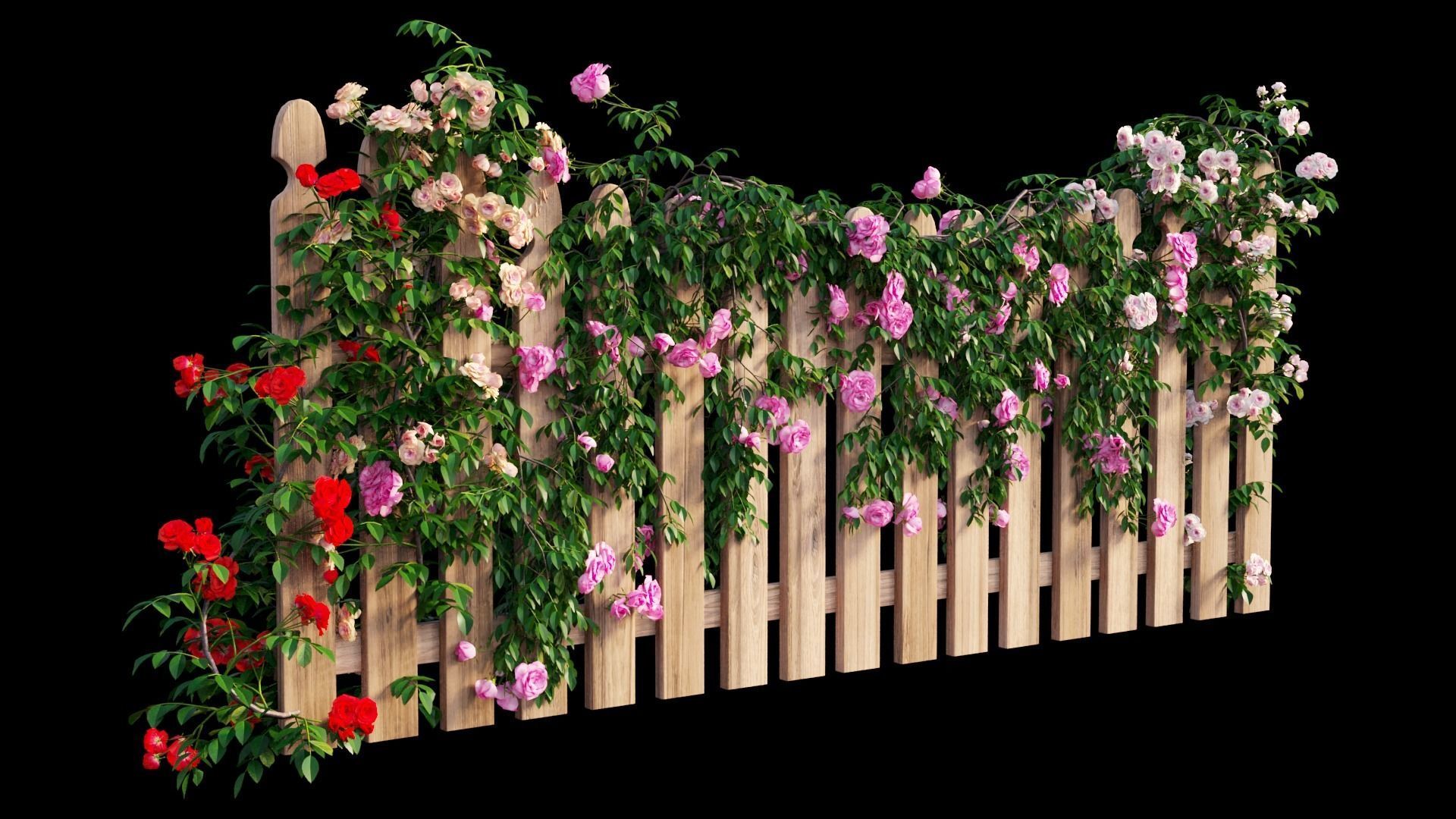 Rose plant set 48  3D model_12