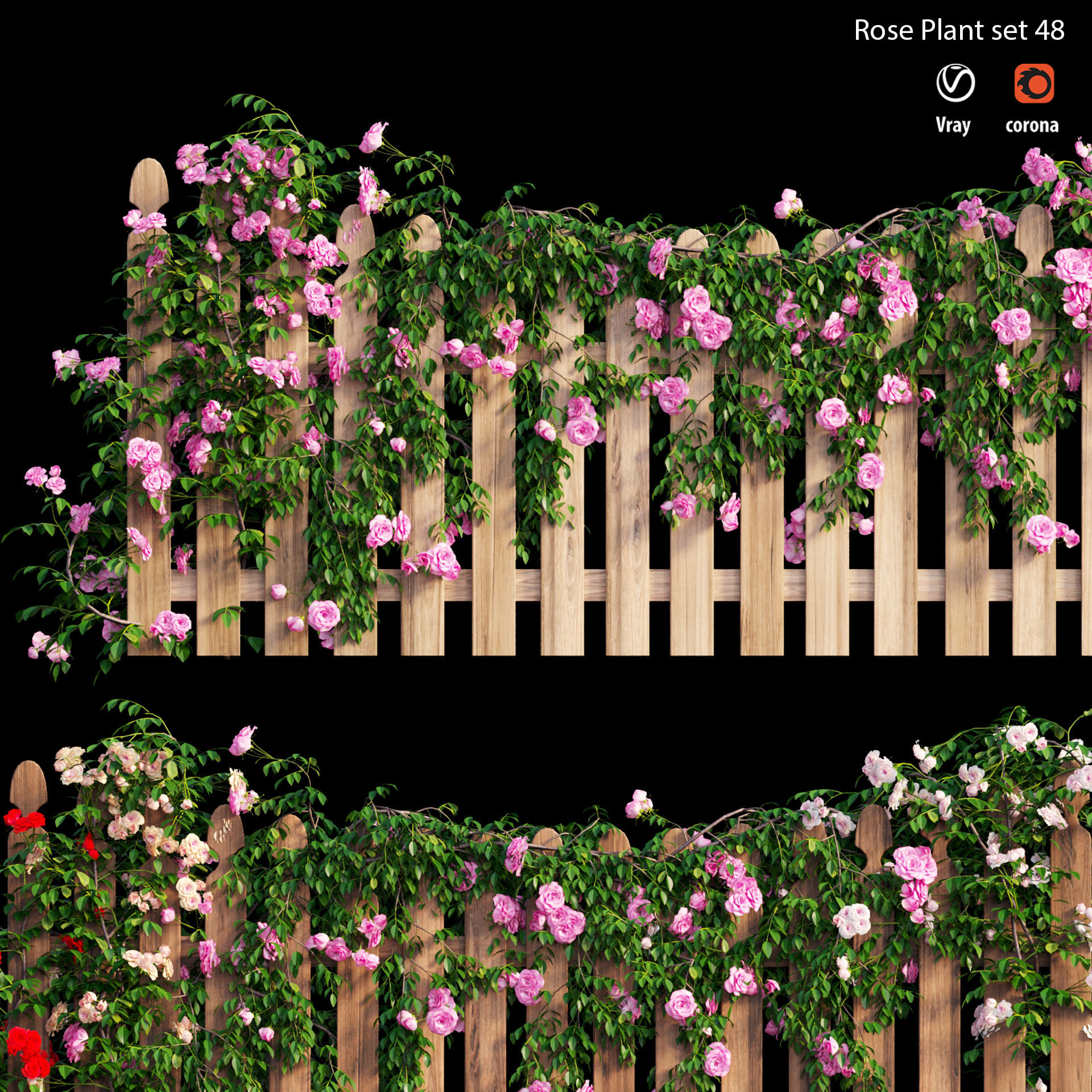 Rose plant set 48  3D model_2