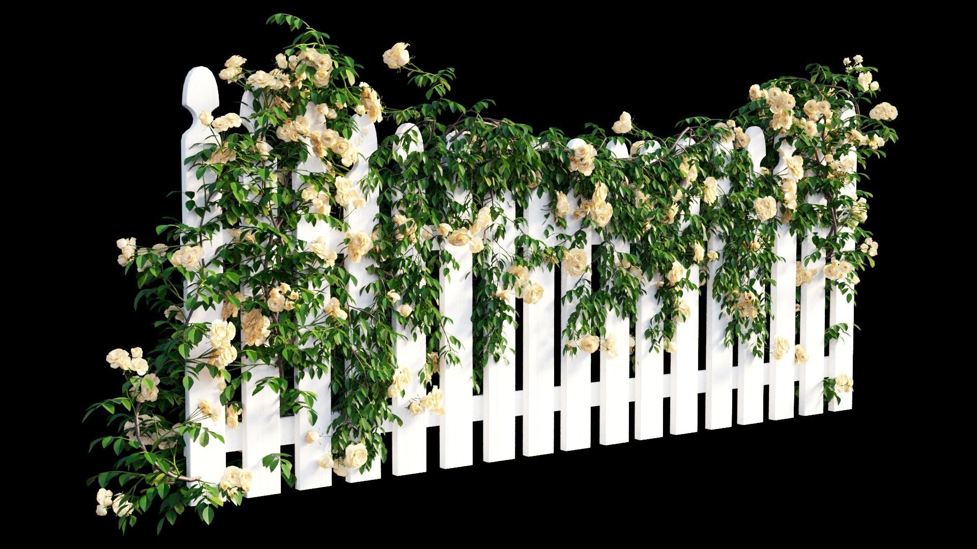 Rose plant set 48  3D model_25