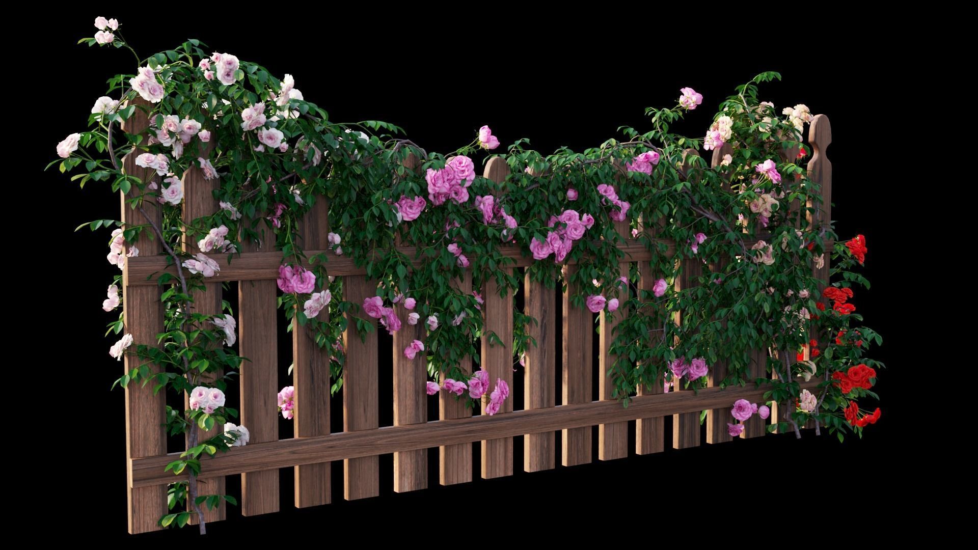 Rose plant set 48  3D model_16