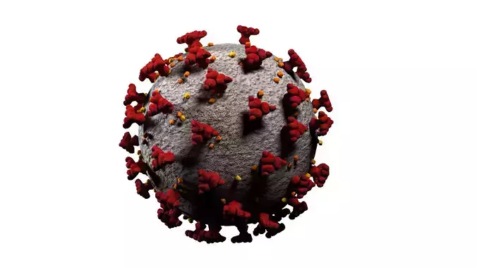 Covid19 3D Model coronavirus