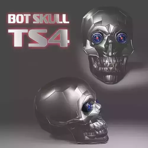 bot skull ts4