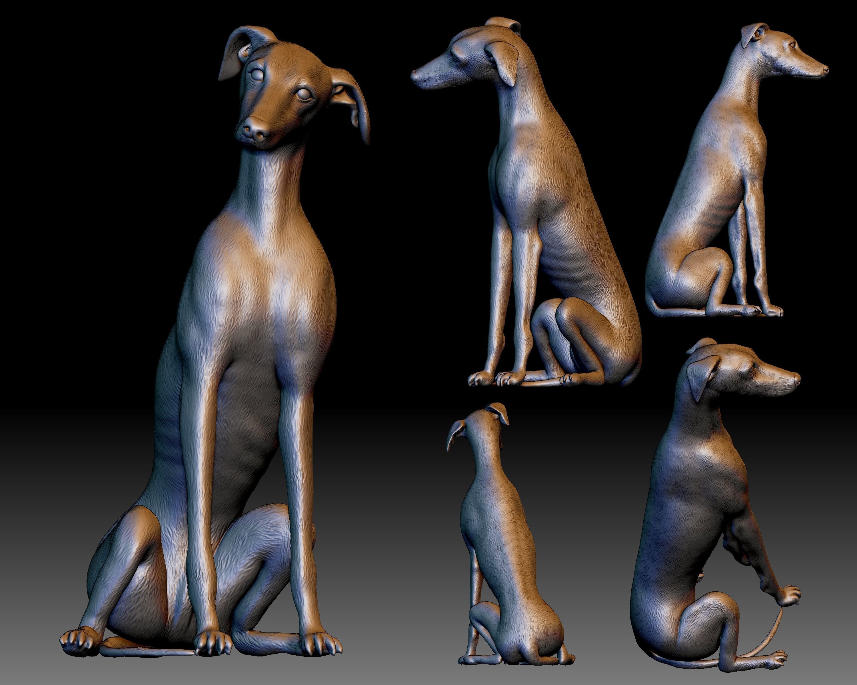 Greyhound dog 3D printable 3D print model_4