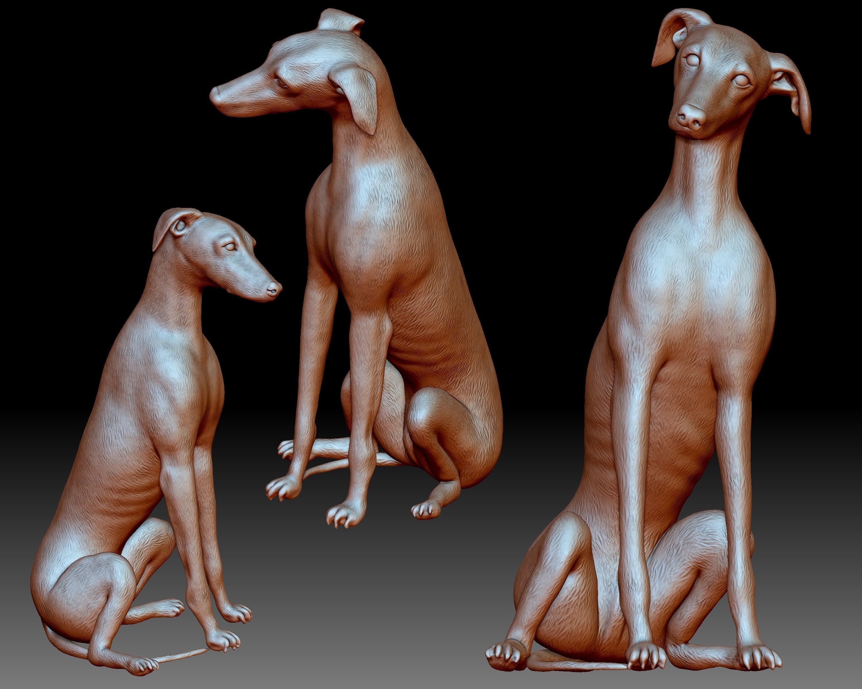 Greyhound dog 3D printable 3D print model_1