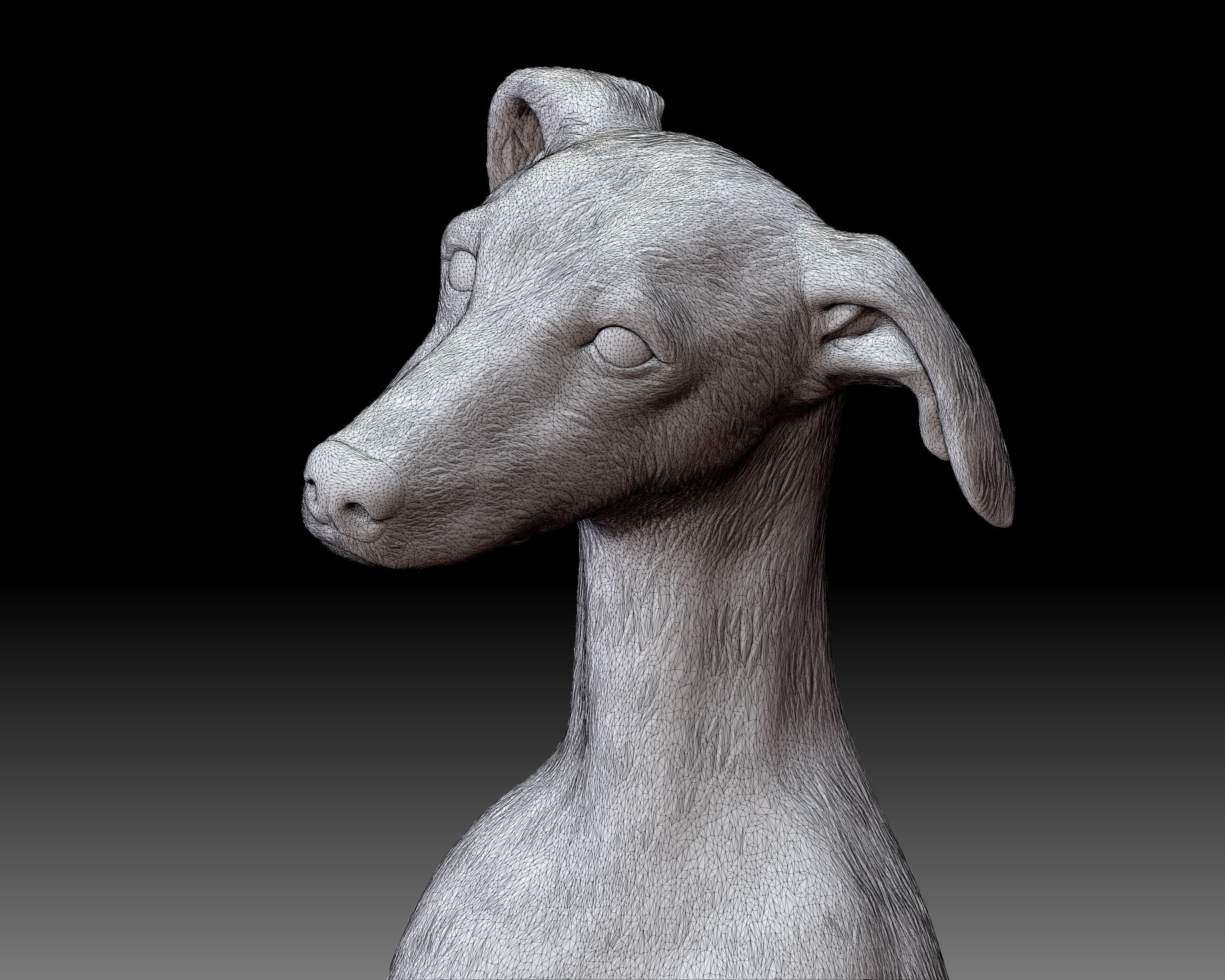 Greyhound dog 3D printable 3D print model_6