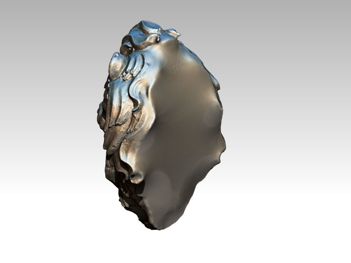 Angry Lion Medal 3D print model_3