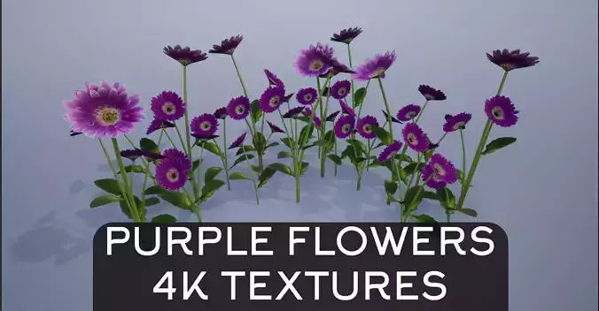 4K Purple Flower Plant Low-poly 3D model