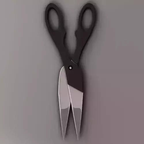 Scissors pair of