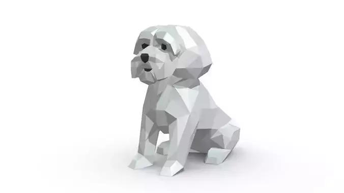 Maltese dog low poly
