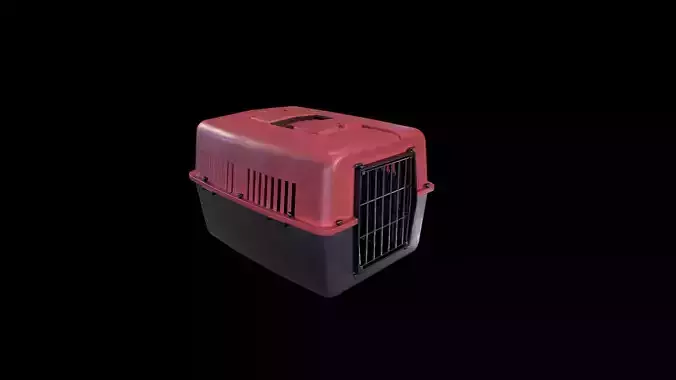 Cat Cage - Gest Low-poly 3D model