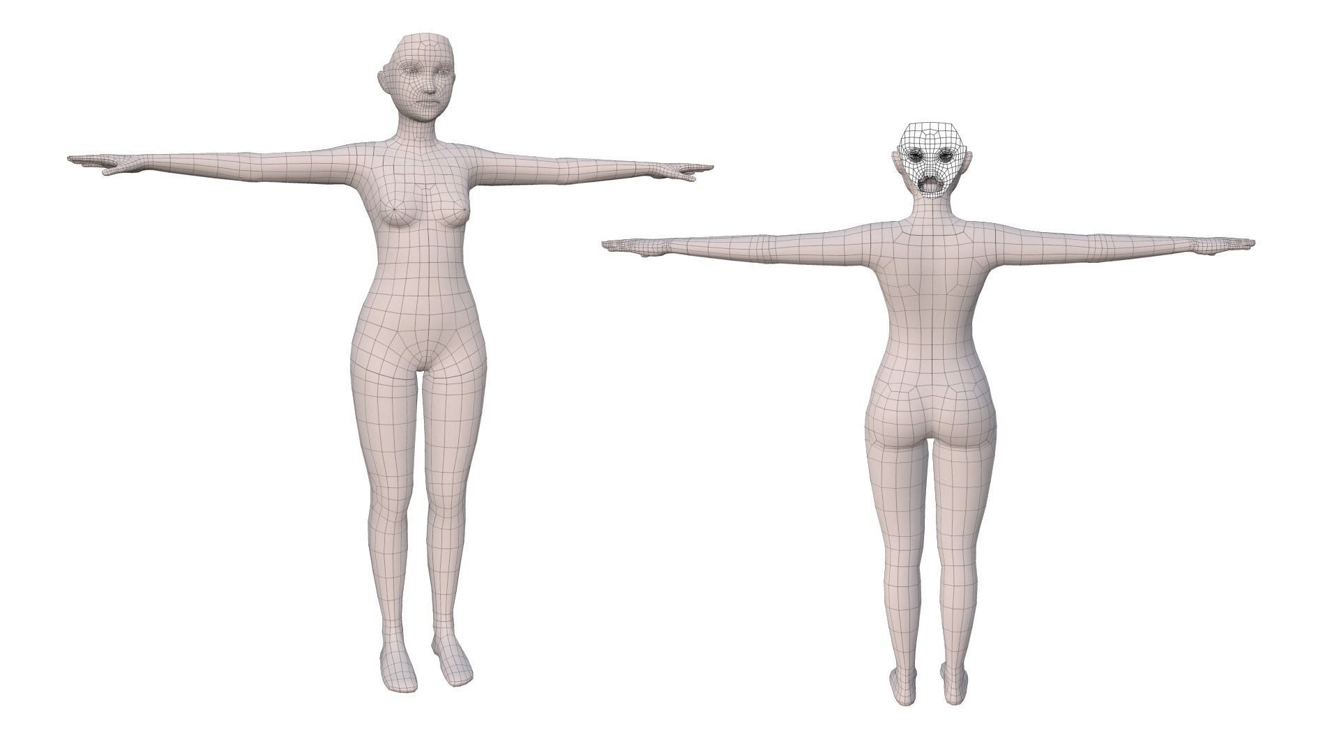 Human Basemeshes - Rigged Body and Face Low-poly 3D model_8