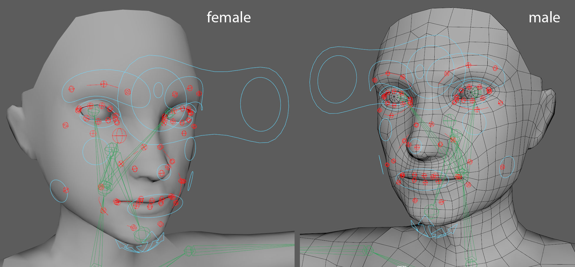Human Basemeshes - Rigged Body and Face Low-poly 3D model_12