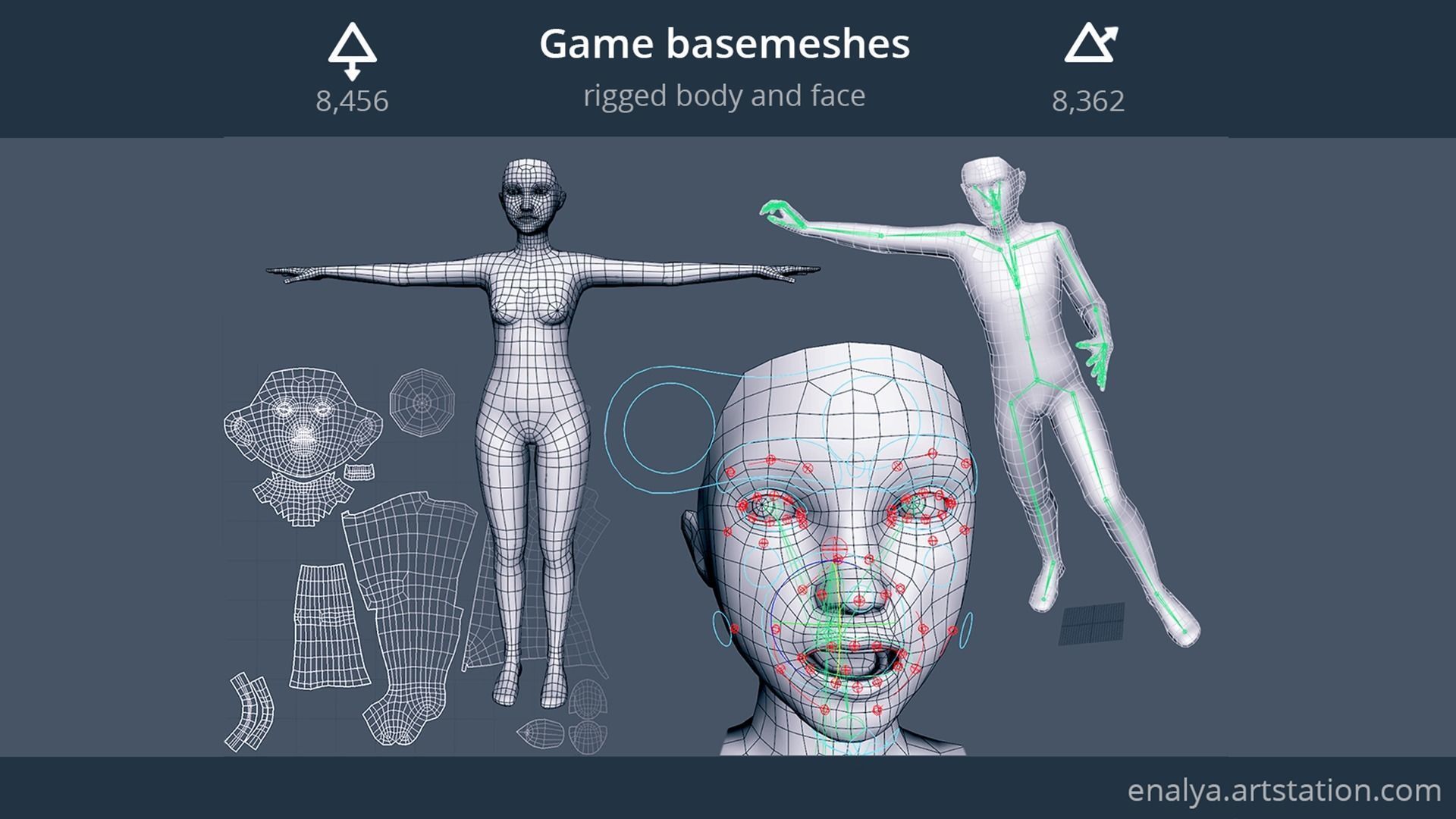 Human Basemeshes - Rigged Body and Face Low-poly 3D model_3