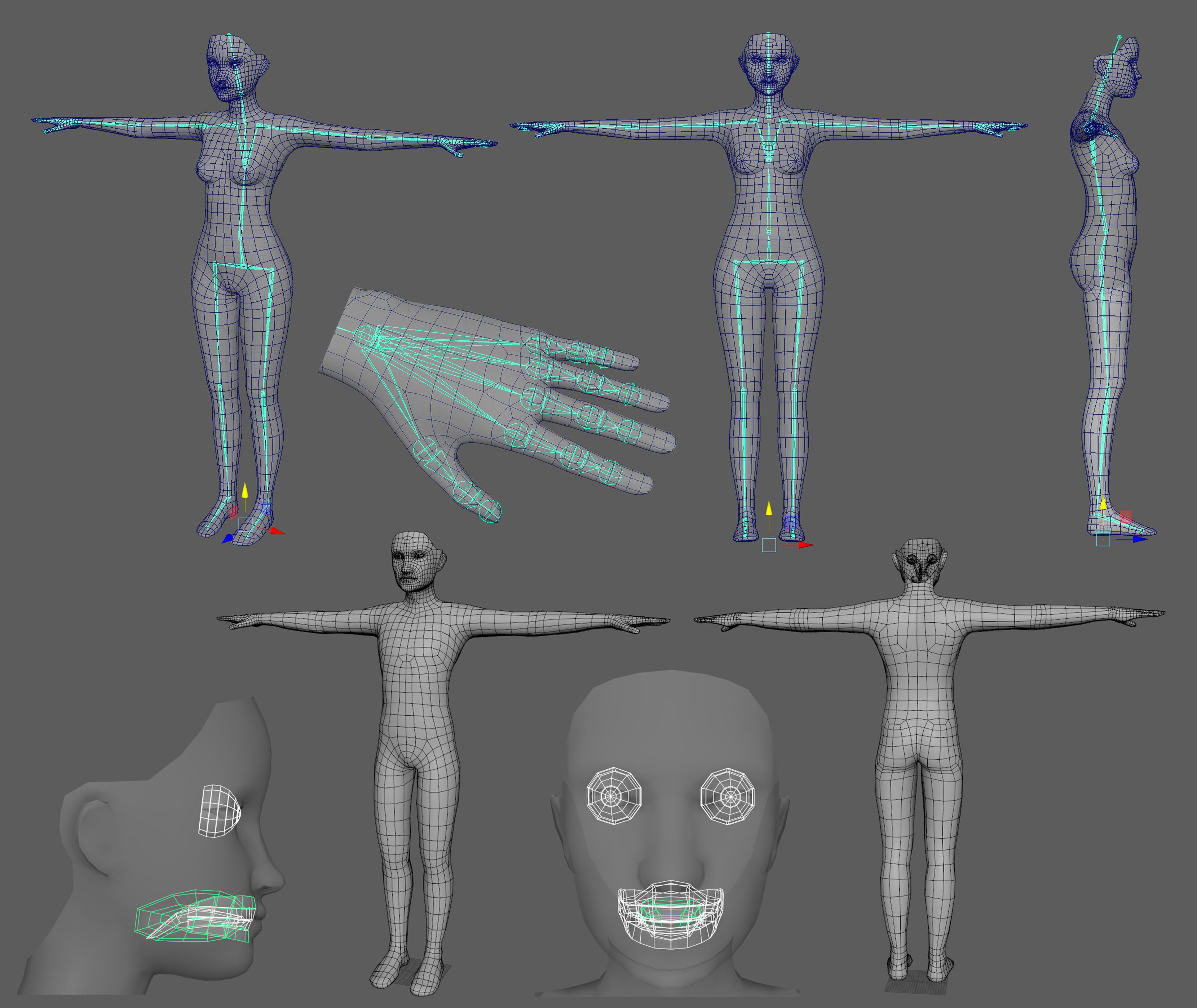 Human Basemeshes - Rigged Body and Face Low-poly 3D model_11