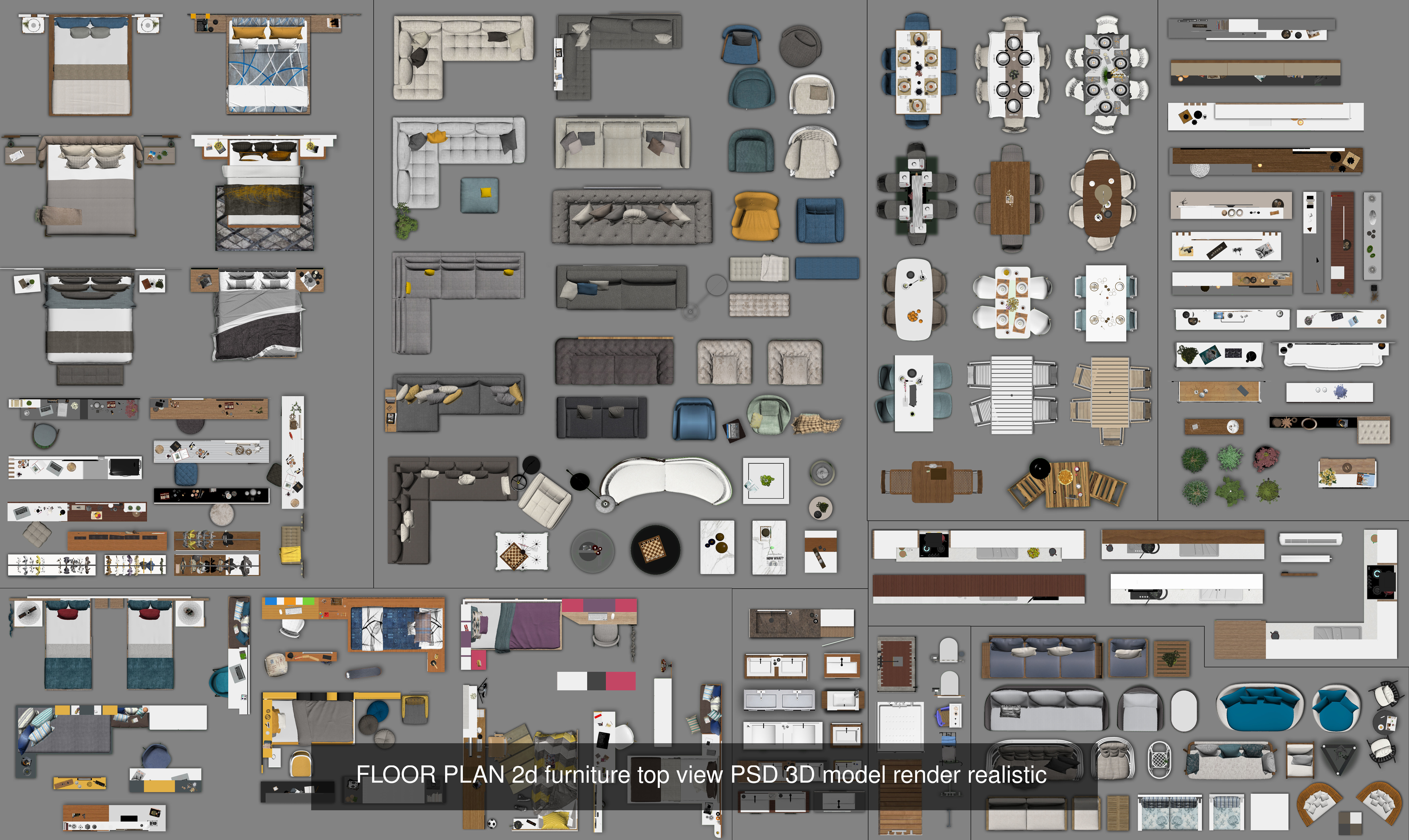 FLOOR PLAN 2d furniture top view PSD 3D model render realistic   3D Model Collection_1