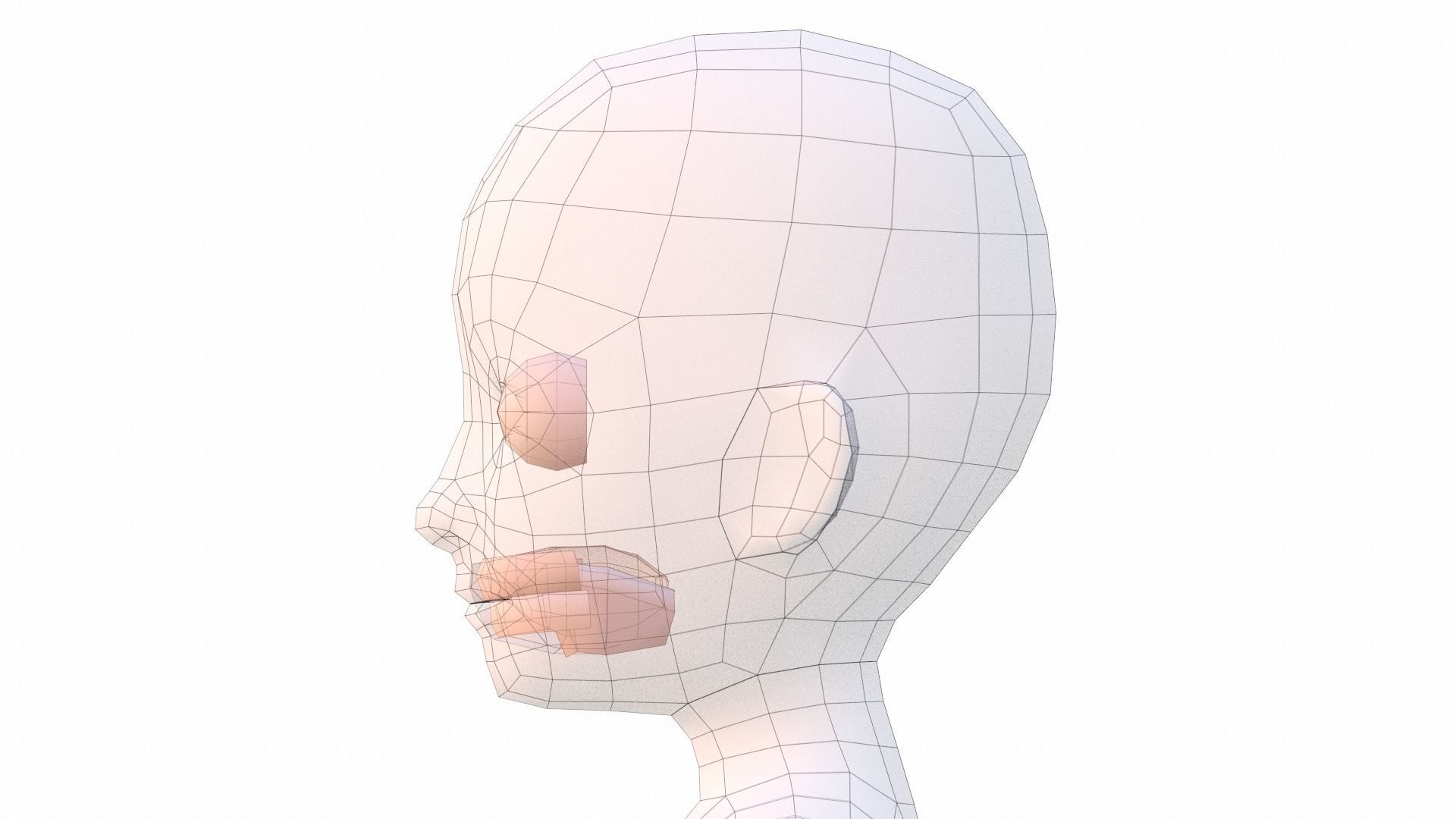 Boy Basemesh - Rigged Low-poly 3D model_9