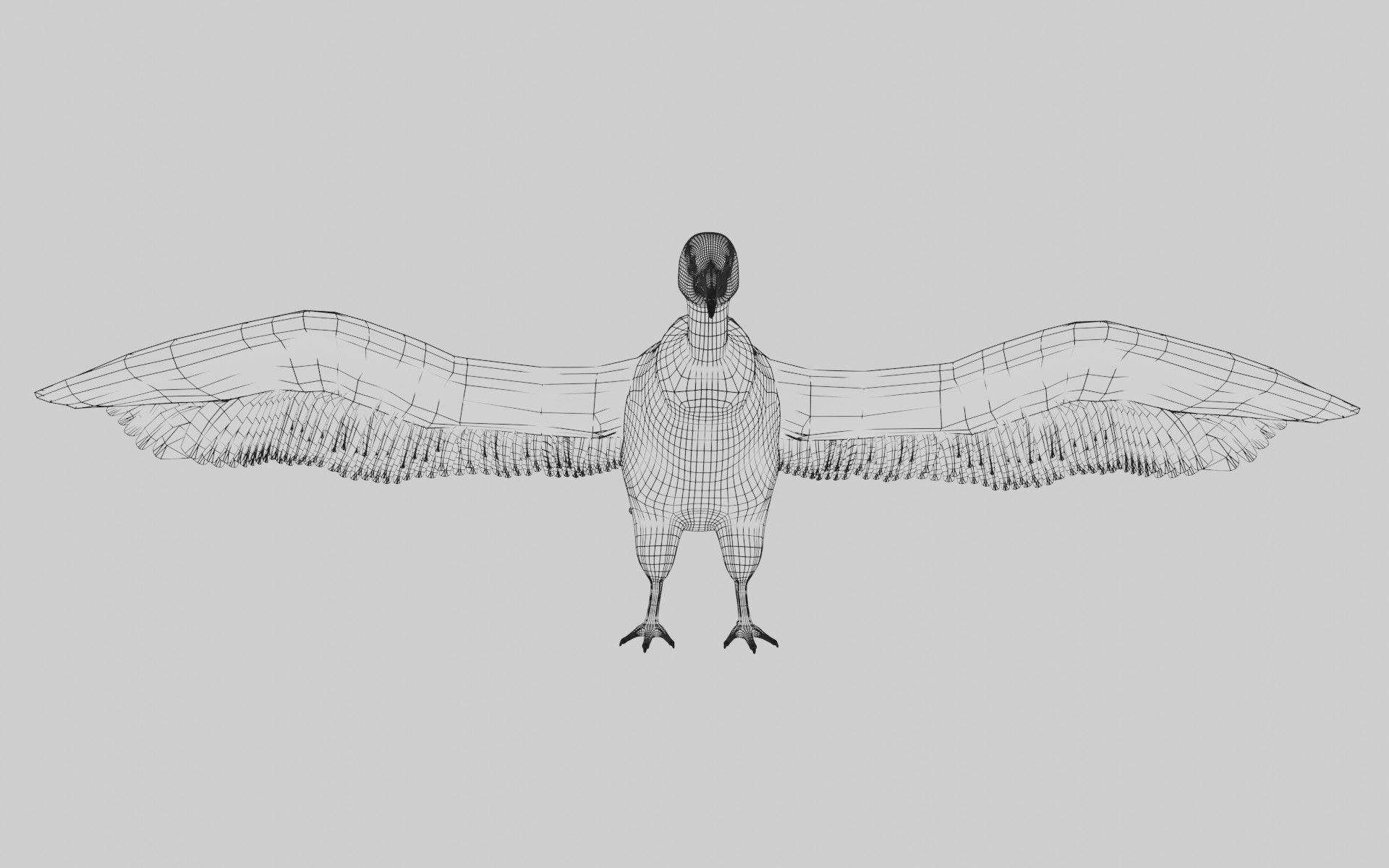 Vulture low poly fully rigged 1 Low-poly 3D model_8
