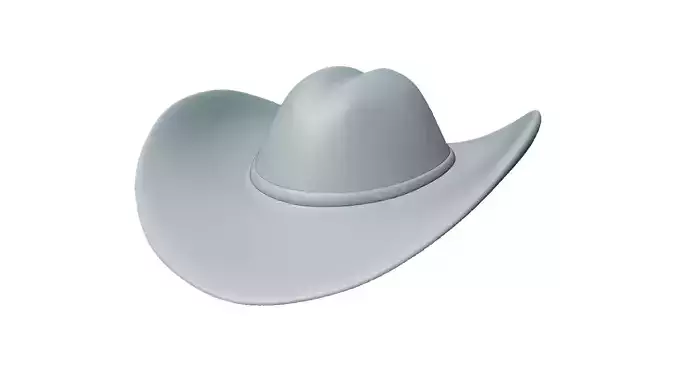 Cowboy Hat 