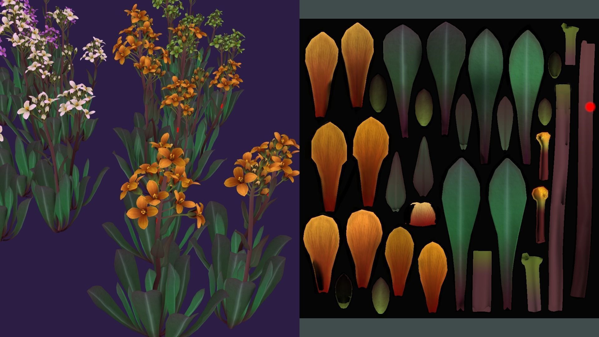 3D model Flower Daggerpod VR / AR / low-poly | CGTrader