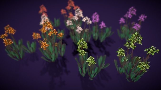 3D model Flower Daggerpod VR / AR / low-poly | CGTrader
