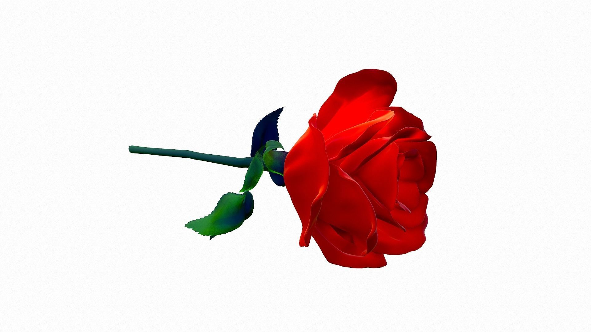 Rose - High Poly 3D model_6