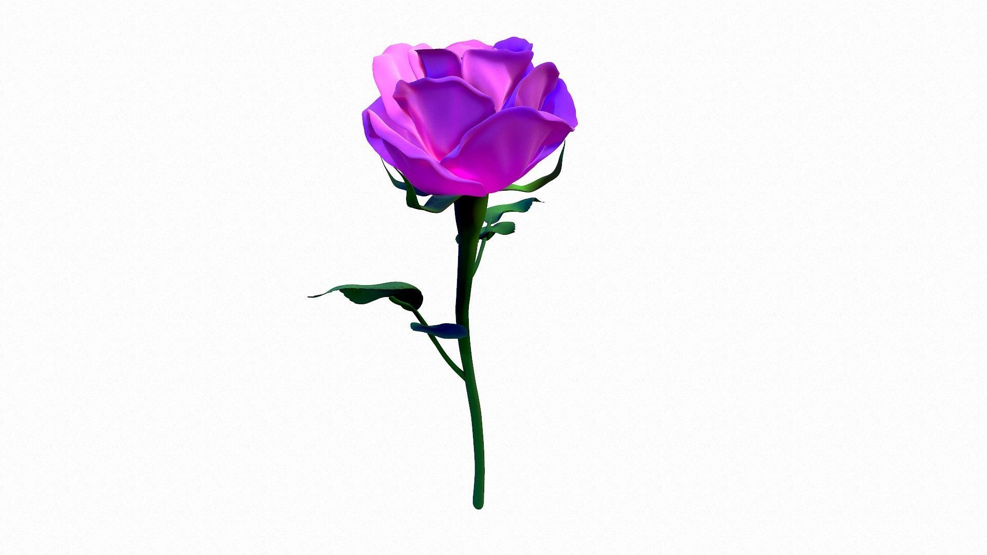 Rose - High Poly 3D model_4