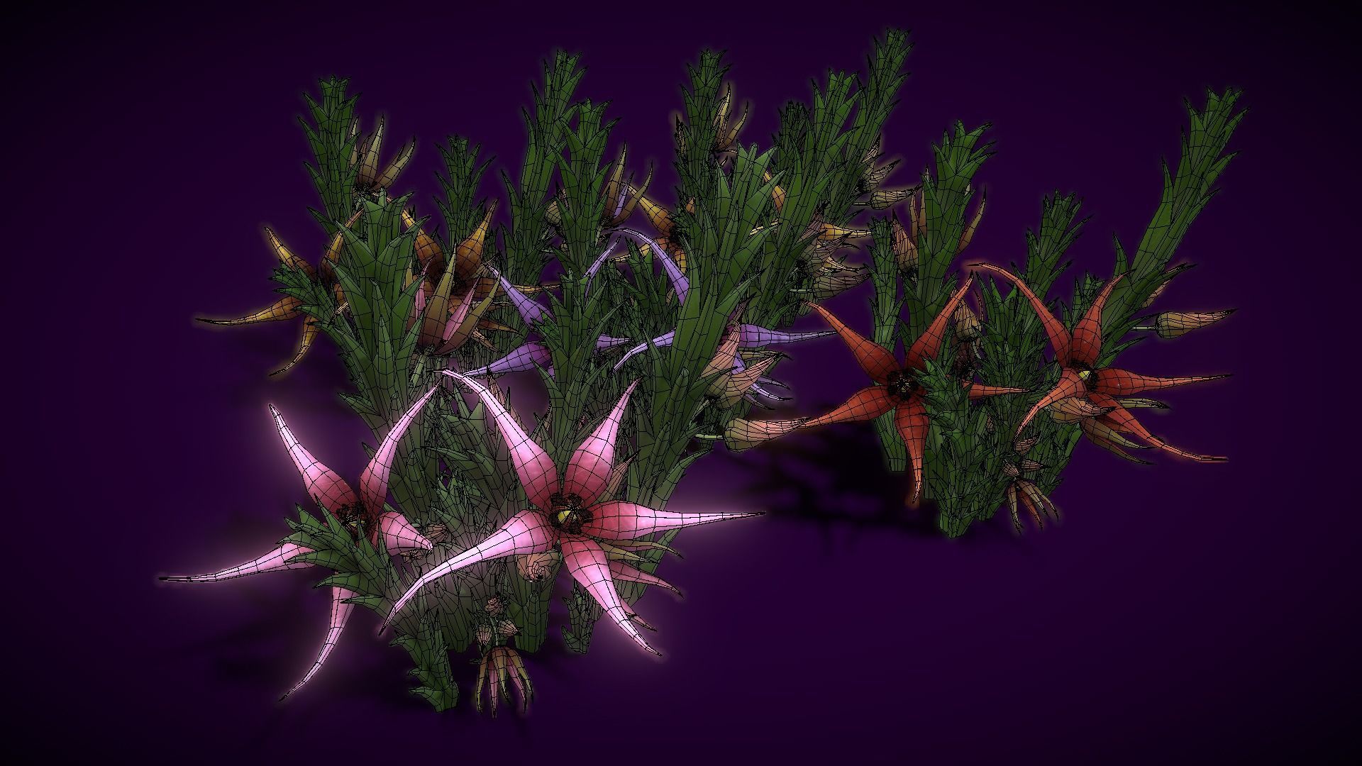 Flower Orbea caudata Low-poly 3D model_6