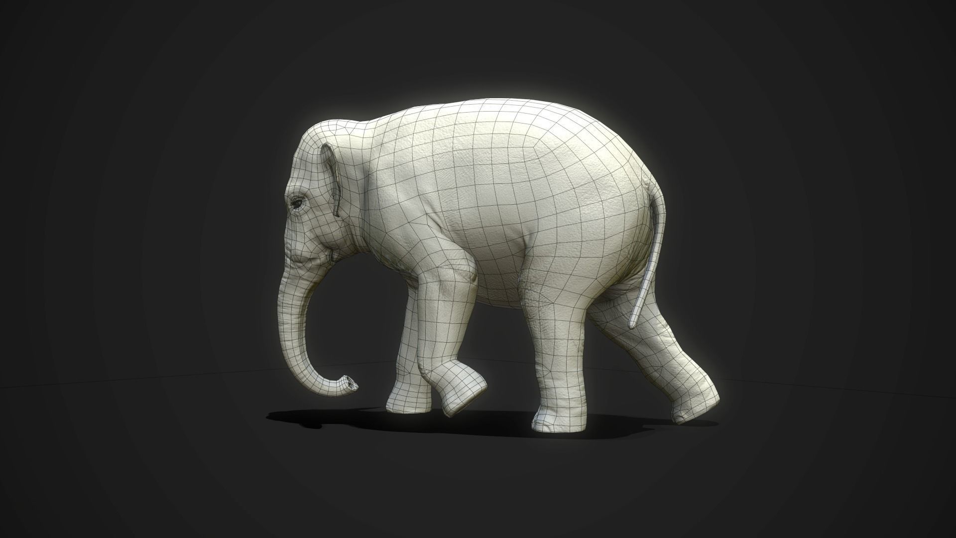Asian Elephants - GameReady Low-poly 3D model_14