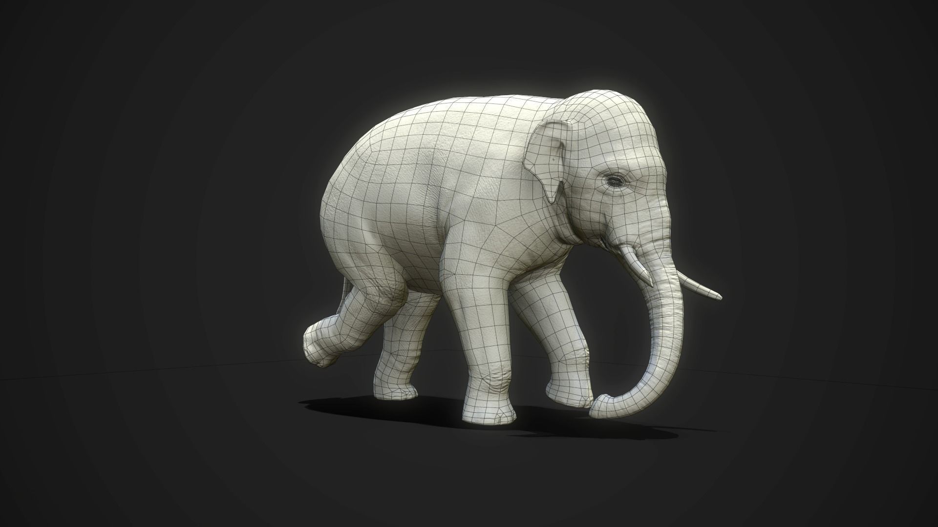 Asian Elephants - GameReady Low-poly 3D model_12