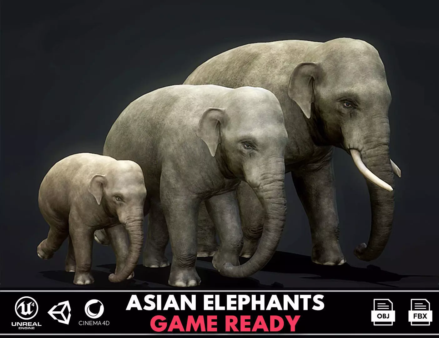 Asian Elephants - GameReady Low-poly 3D model_0