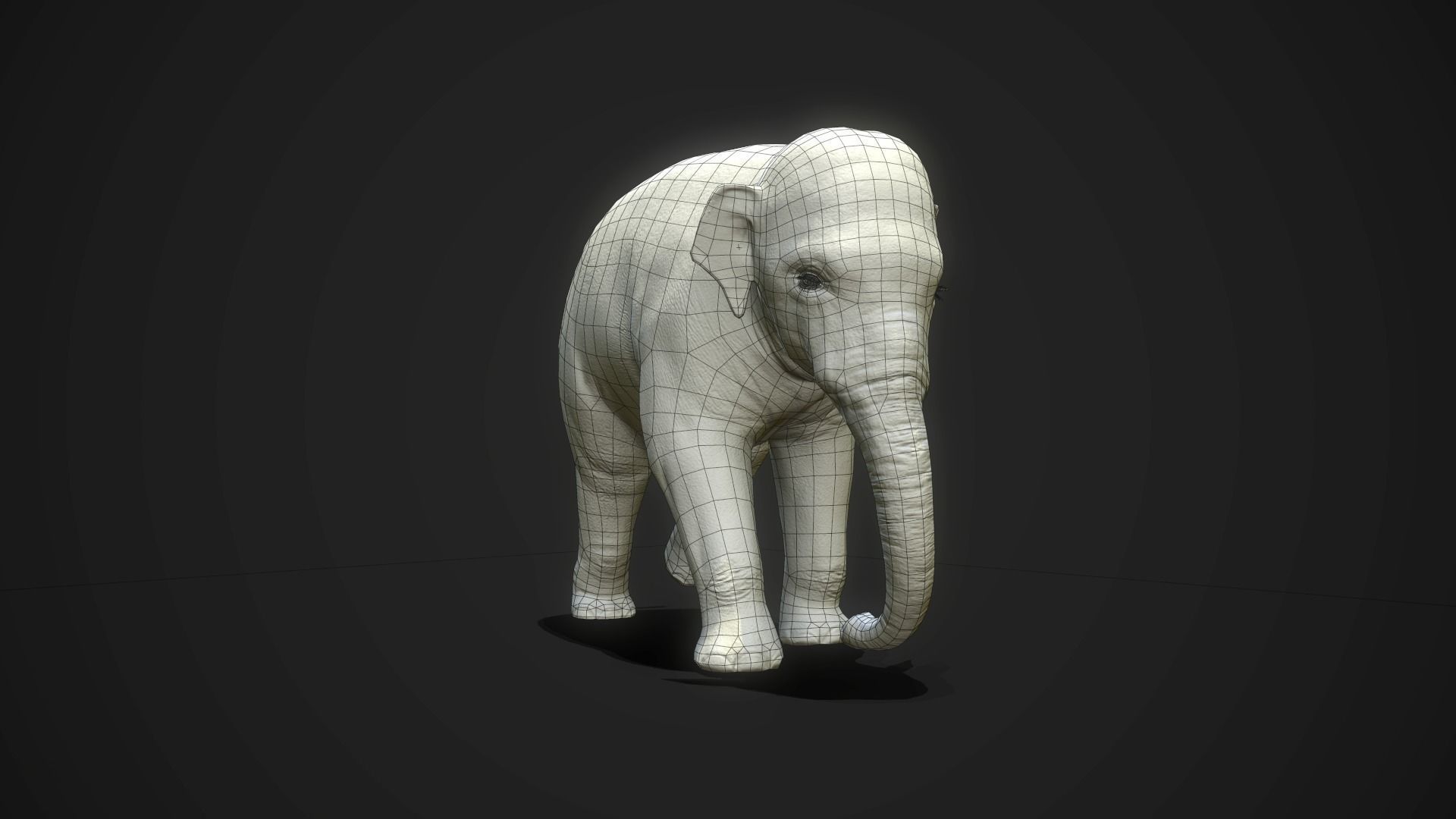 Asian Elephants - GameReady Low-poly 3D model_13