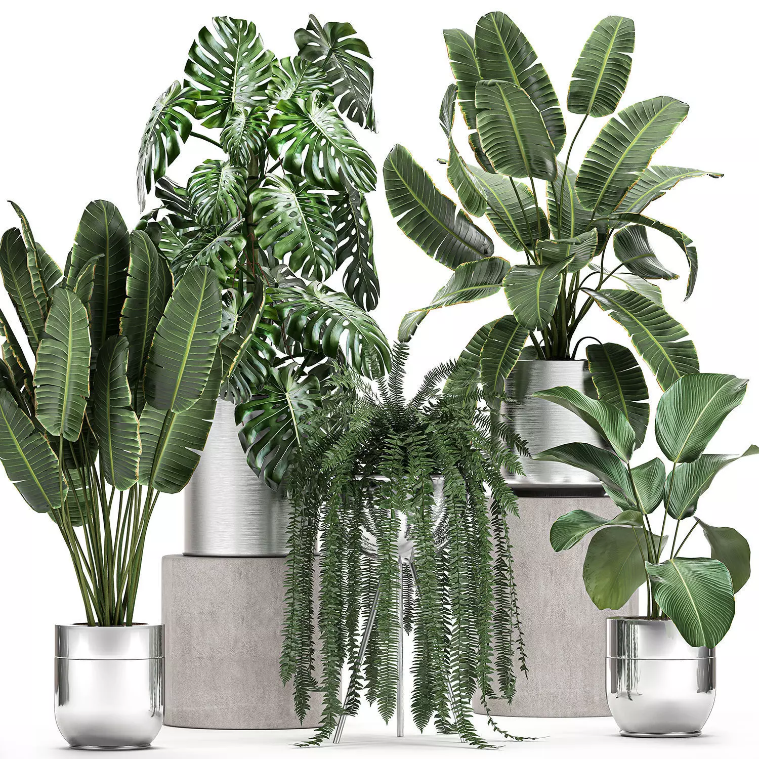 Ornamental plants in a chrome flowerpot 791 3D model