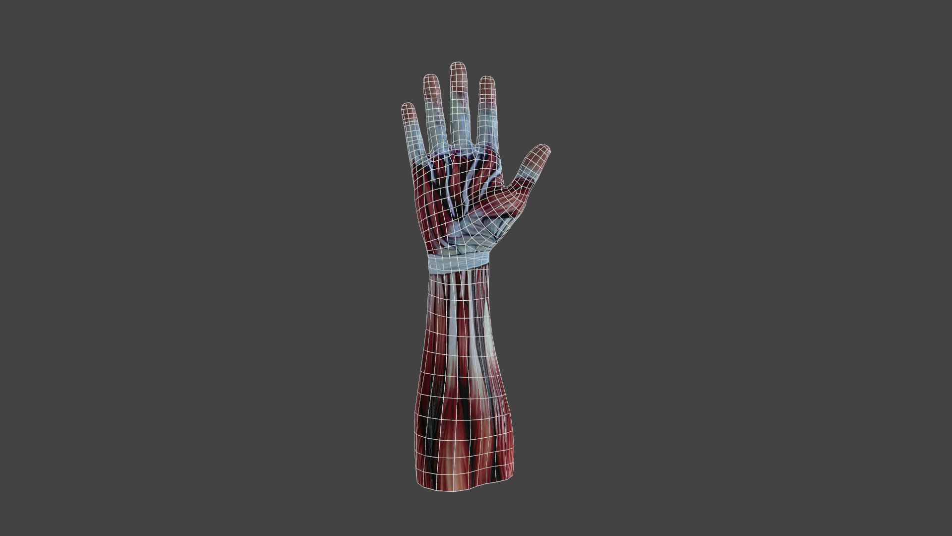 HAND-020 Right Hand Low-poly 3D model_3